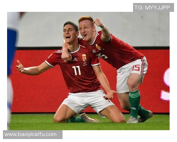 芬兰与匈牙利足球对决数据分析及战术解析全面解读