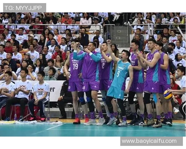 深圳排球队最新排球配合TOP10揭晓技战术全面升级引领潮流