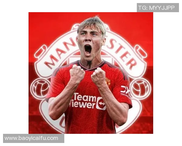 霍伊伦的传奇人生与不朽贡献探秘之旅