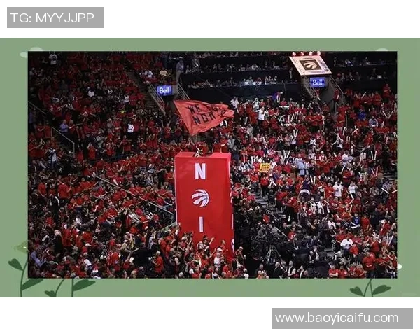 南京篮球队成长之路：从默默无闻到璀璨辉煌的奋斗历程