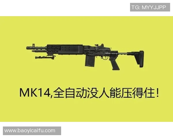 和平精英巨献：深入解析BLG团队协作背后的秘密与策略