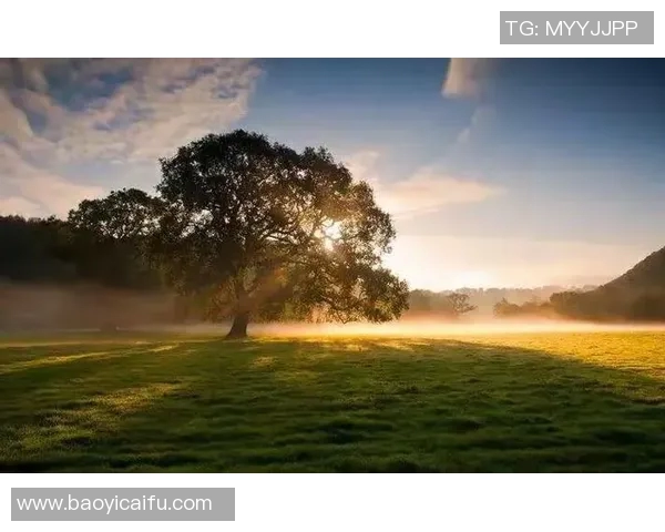 深度对话赵芳：从排球场到人生舞台的精彩旅程